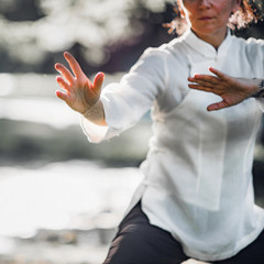 Tai Chi Quan © Microgen