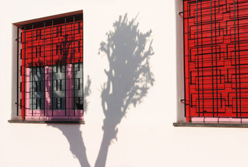 Two windows with red blinds, white wall and a tree shadow