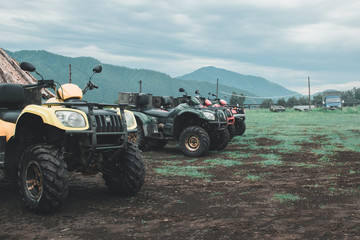 Fototapeta premium Altai.