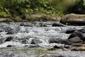 rivière