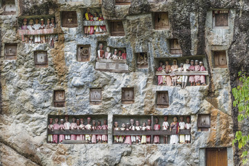 Sulawesi, Lemo; Die Felsengräber im Toraja Dorf  " Lemo " .