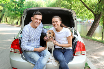 Young couple with cute dog sitting in car trunk