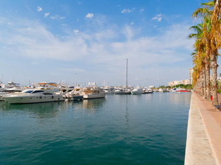 Promenade of palm trees in Alicante. View of the port. Spain