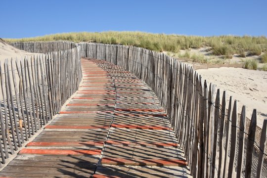 passerelle et cl&ocirc;ture dans une dune 