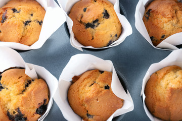 Tasty blueberry muffins in baking tin