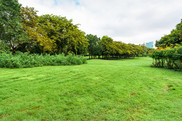 Green grass field in park at city center with business buildings.