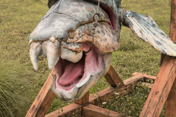 Dunkleosteus - Detail of head with hook.