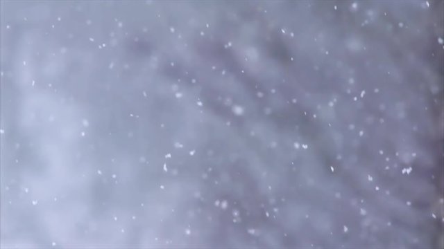 Snowflakes with blurred background