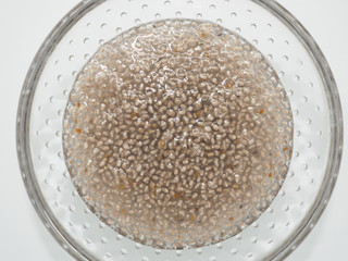 チアシード　【chia seeds】