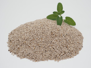 チアシード　【chia seeds】