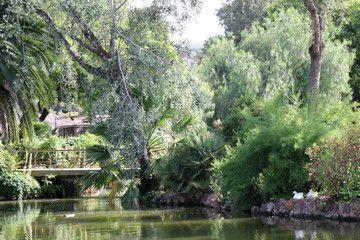 Obraz premium Étendue d'eau dans un parc de Barcelone
