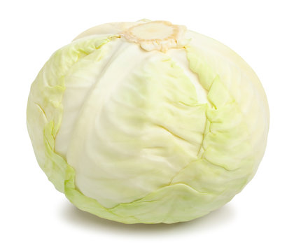 white cabbage