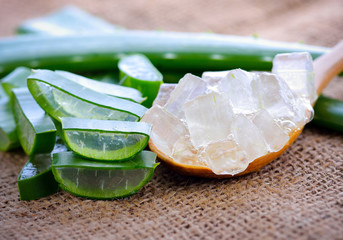 Aloe vera on a  background.