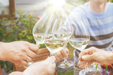 Family of different ages people cheerfully celebrate outdoors with glasses of white wine, proclaim...