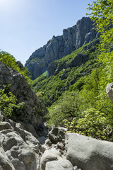 Big rocks. Landscape rocky mountains national park 