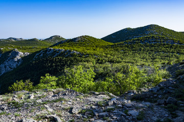 Landscape rocky mountains national park 