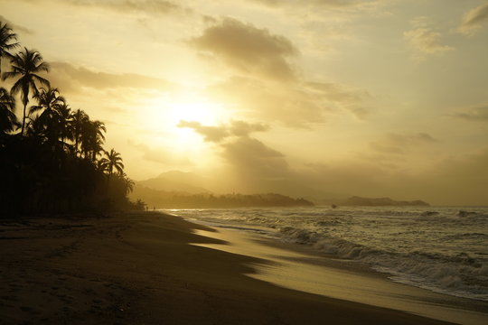 Tropensonne Bilder – Durchsuchen 7,853 Archivfotos, Vektorgrafiken und ... Tropensonne Bilder – Durchsuchen 7,853 Archivfotos, Vektorgrafiken und ...