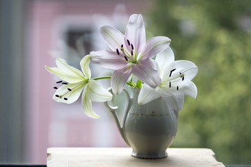 Group of light white and pink lilies in vase, beautiful flowering flowers indoors on the window