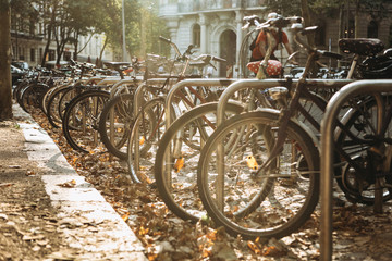 Many bicycles are parked in a row on Leipzig Street in Germany. Autumn. Ecological transport and a...