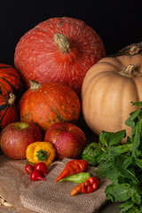 pumpkins and gourds with apples and chili peppers