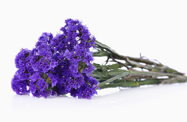 Dry statice flower on white background