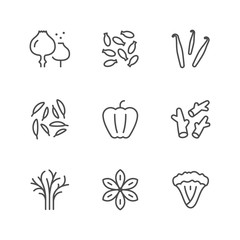Obraz premium Set line icons of seasoning