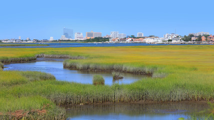 Swamp lands between Atlantic city and main land