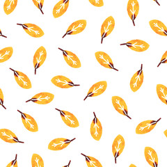 fall autumn leaves collection set with clipping path with clipping path