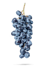 Branch of grapes with water drops, isolated on white background. File contains a path to isolation.