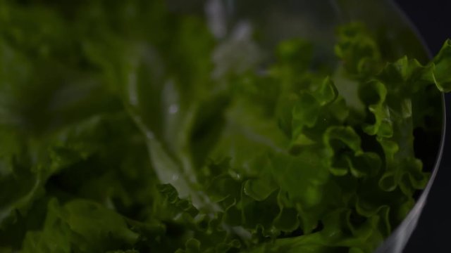 Salad leaves with water drops on a black background