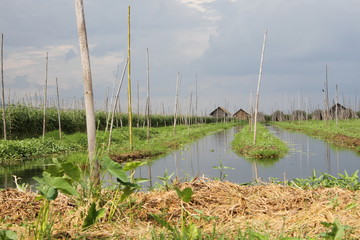 Obraz premium Kambodscha