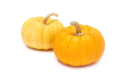 Pumpkin with stem isolated on white background ready for halloween fancy festival decoration