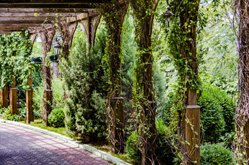 green alley 2