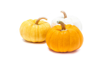 Pumpkin with stem isolated on white background ready for halloween fancy festival decoration