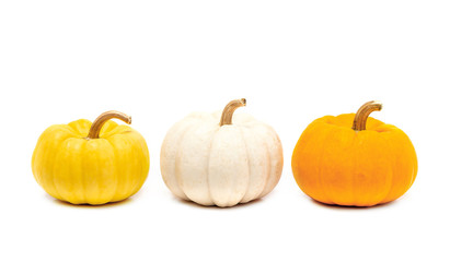 Pumpkin with stem isolated on white background ready for halloween fancy festival decoration