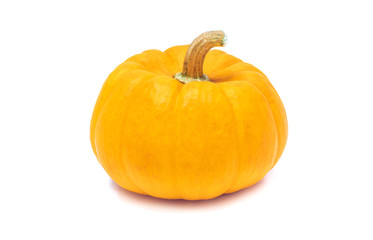 Pumpkin with stem isolated on white background ready for halloween fancy festival decoration