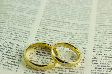 Anelli matrimoniali simbolo su vocabolario