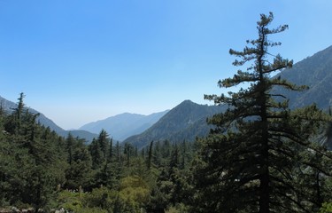 Angeles National Forest, viewed from Mount Baldy, San Gabriel Mountains,  California