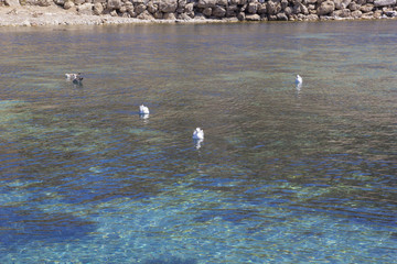 Beautiful Scene in Datça,Turkey 