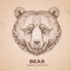 Hipster animal bear. Hand drawing Muzzle of bear