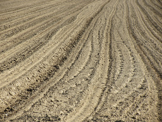 Preparing field for planting. Plowed soil before sowing