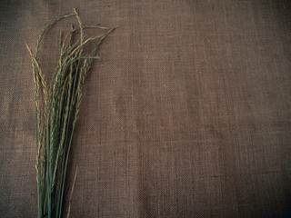 Vintage style. Dry grass with burlap background