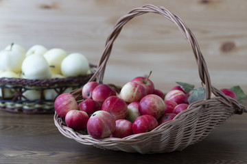 Red and yellow apples in a plastic bucket on a green grass