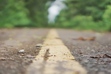 Old road in the countryside with trees along the way.