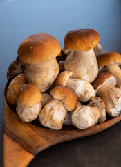 Porcini Wild forrest Mushrooms