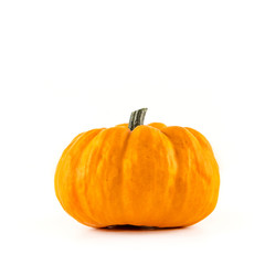 ein Kürbis (Jack be little) vor weißem Hintergrund als Freisteller