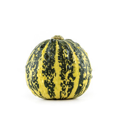 ein Kürbis (Flat Striped) vor weißem Hintergrund als Freisteller