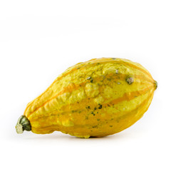 ein Kürbis (sweet dumpling) vor weißem Hintergrund als Freisteller