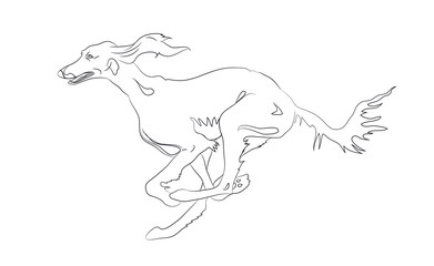 Obraz na płótnie Canvas dog running, lines, vector