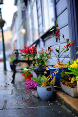 Blumentöpfe, Melancholie, Nostalgie